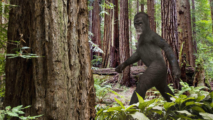 Watch: Bigfoot Filmed in Oregon? | Coast to Coast AM