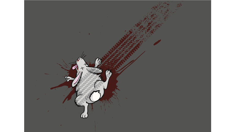 Roadkill rabbit