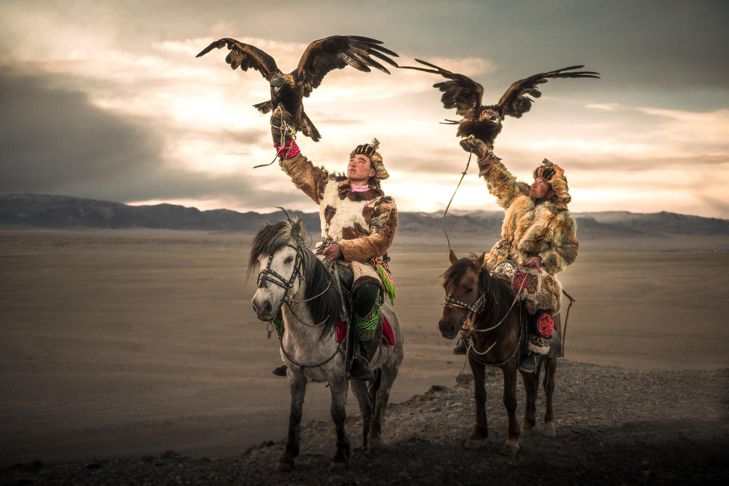 Eagle-hunters on the horse in Mongolia