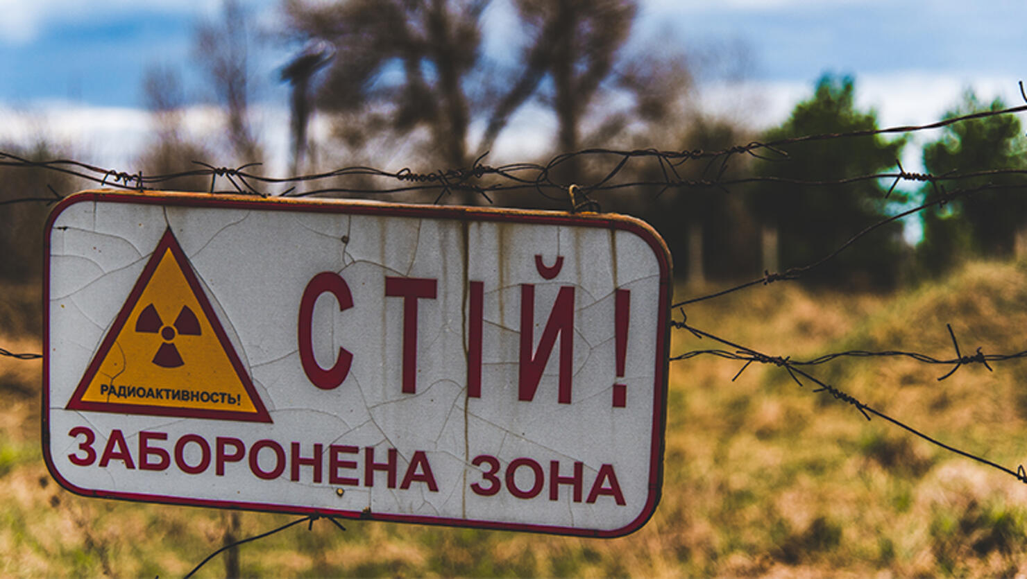 Inside Chernobyl: The Radioactive Town Nature Has Reclaimed