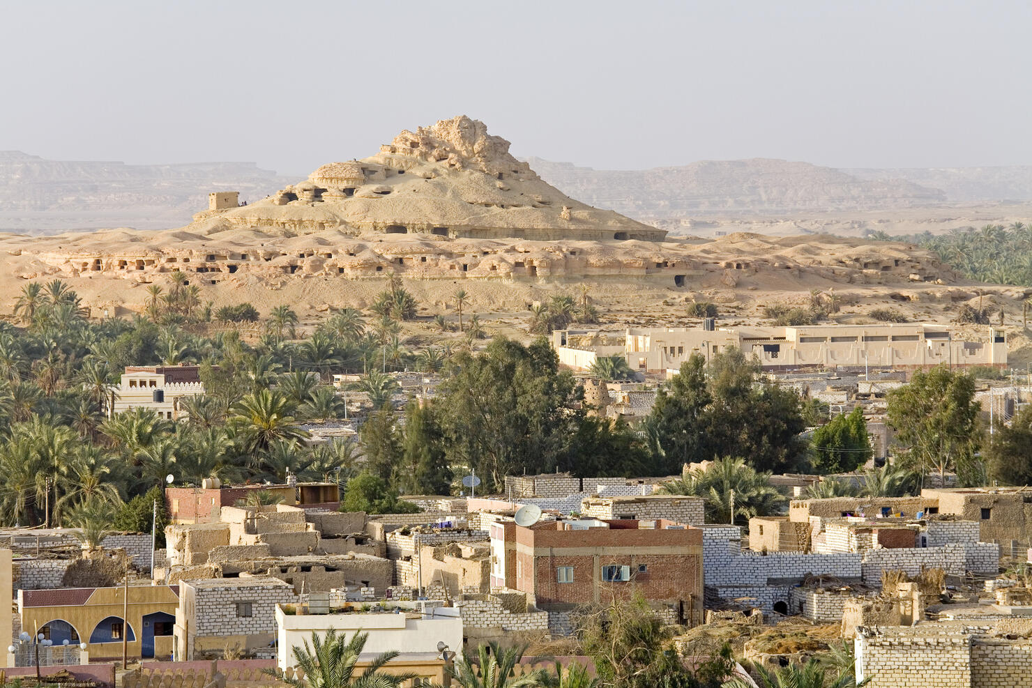 Egypt, Libyan Desert, Oasis of Siwa, elevated view