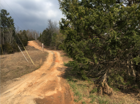 One of the many back roads that cut between main roads in the area.