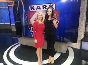 Catherine getting the word out at local TV station KARK.