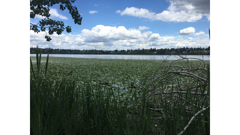 Greenlake in seattle Washington