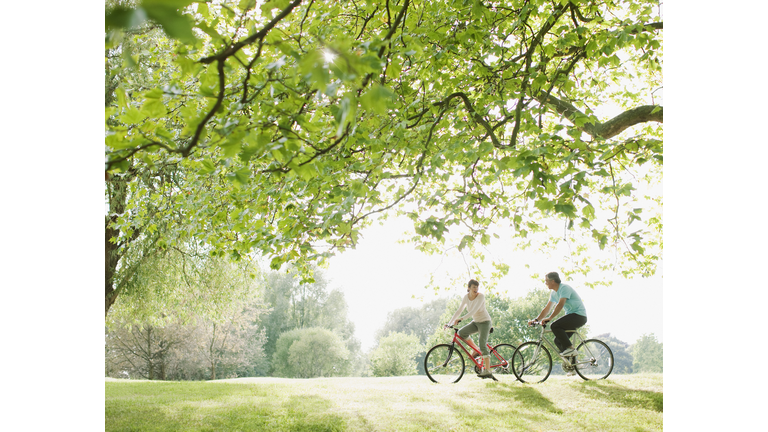 Couple riding bicycles underneath tree