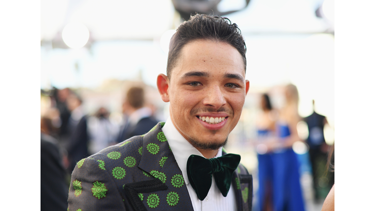 25th Annual Screen Actors Guild Awards - Red Carpet