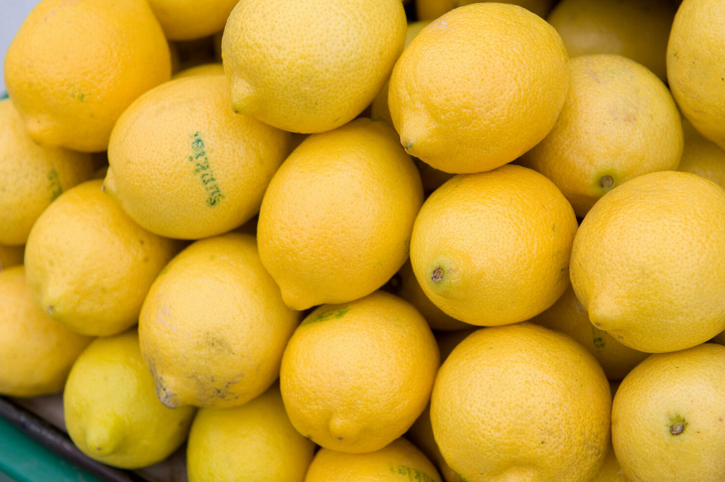 Lemons are offered for sale at Eastern M