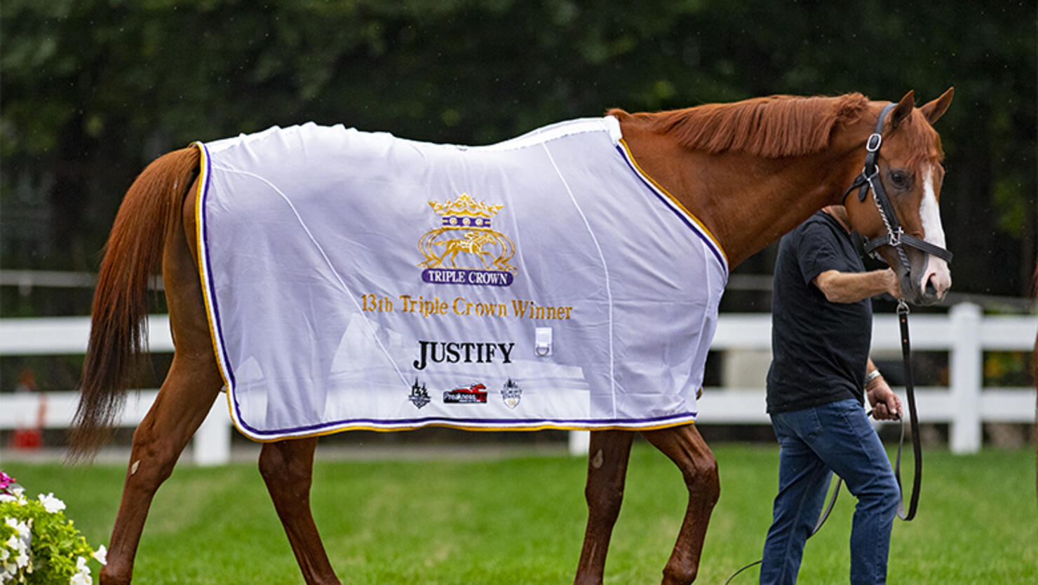 Justify at Belmont Park