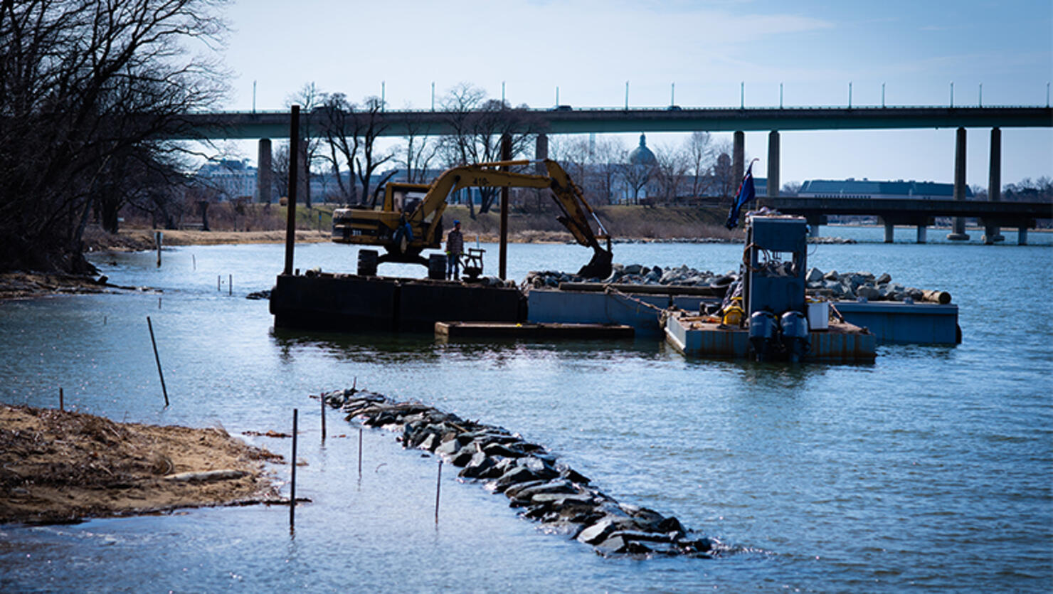 The Chesapeake Bay has been steadily recovering after decades of neglect, pollution and over-fishing. But in President Trump's new budget proposal, Trump recommended a 90 percent cut to the Chesapeake Bay Project, which is working to continue improving th