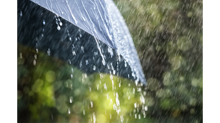 Rain on umbrella