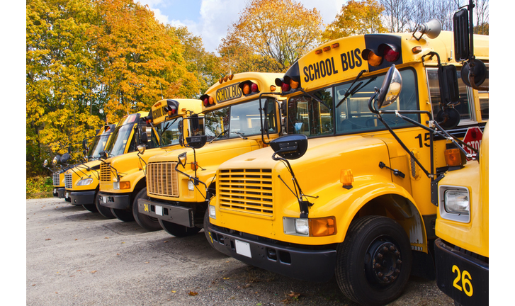 Yellow school buses