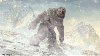 'Yeti' Among Finalists for New NHL Team Name