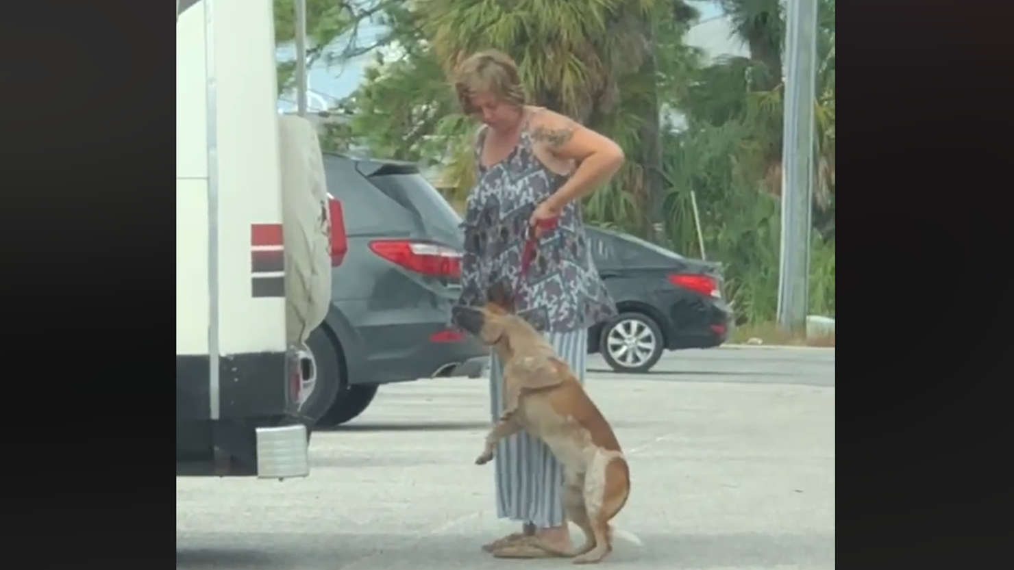 Florida woman arrested after choking dog