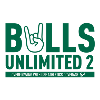 Bulls Unlimited 2 logo