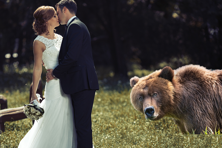 Bear Crashes Wedding And Photographer Captures It All | iHeart