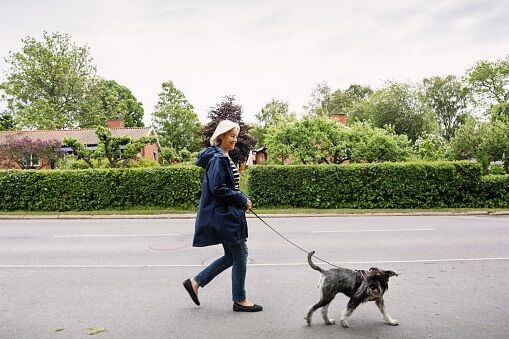 Germany Will Require Walking Dogs