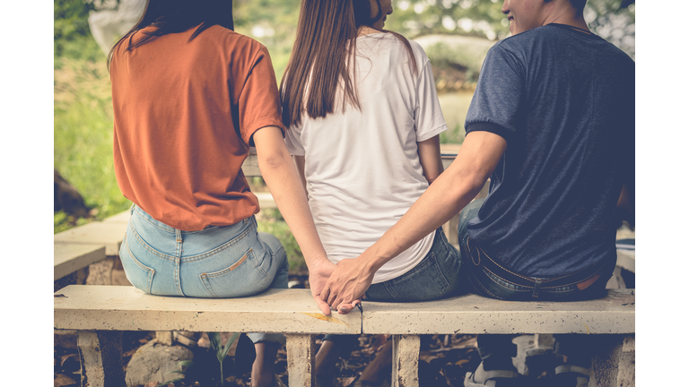 Rear View Of Friends Sitting On Wood