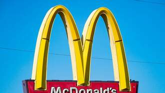 The McRib Sandwich Is On The Way Back