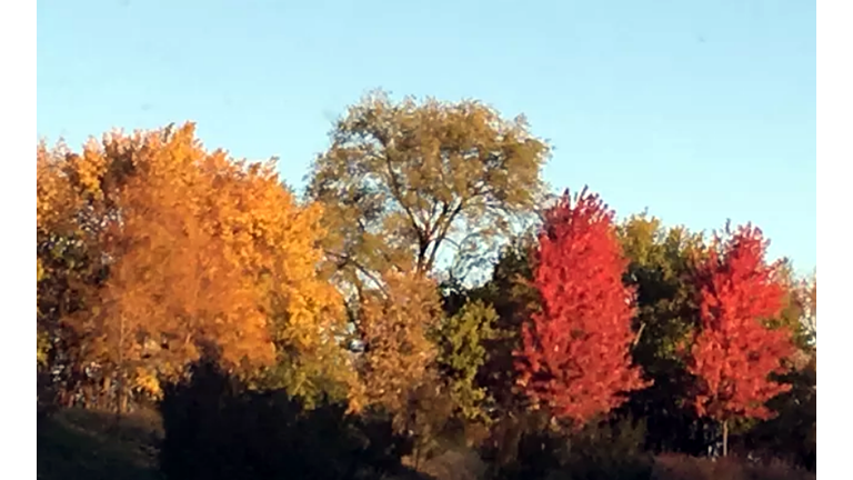 Iowa fall colors photo Wendy Wilde