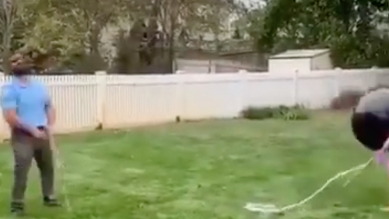 Epic Gender Reveal Fail: Balloon Doesn't Pop, Floats Away & Dad Falls ...