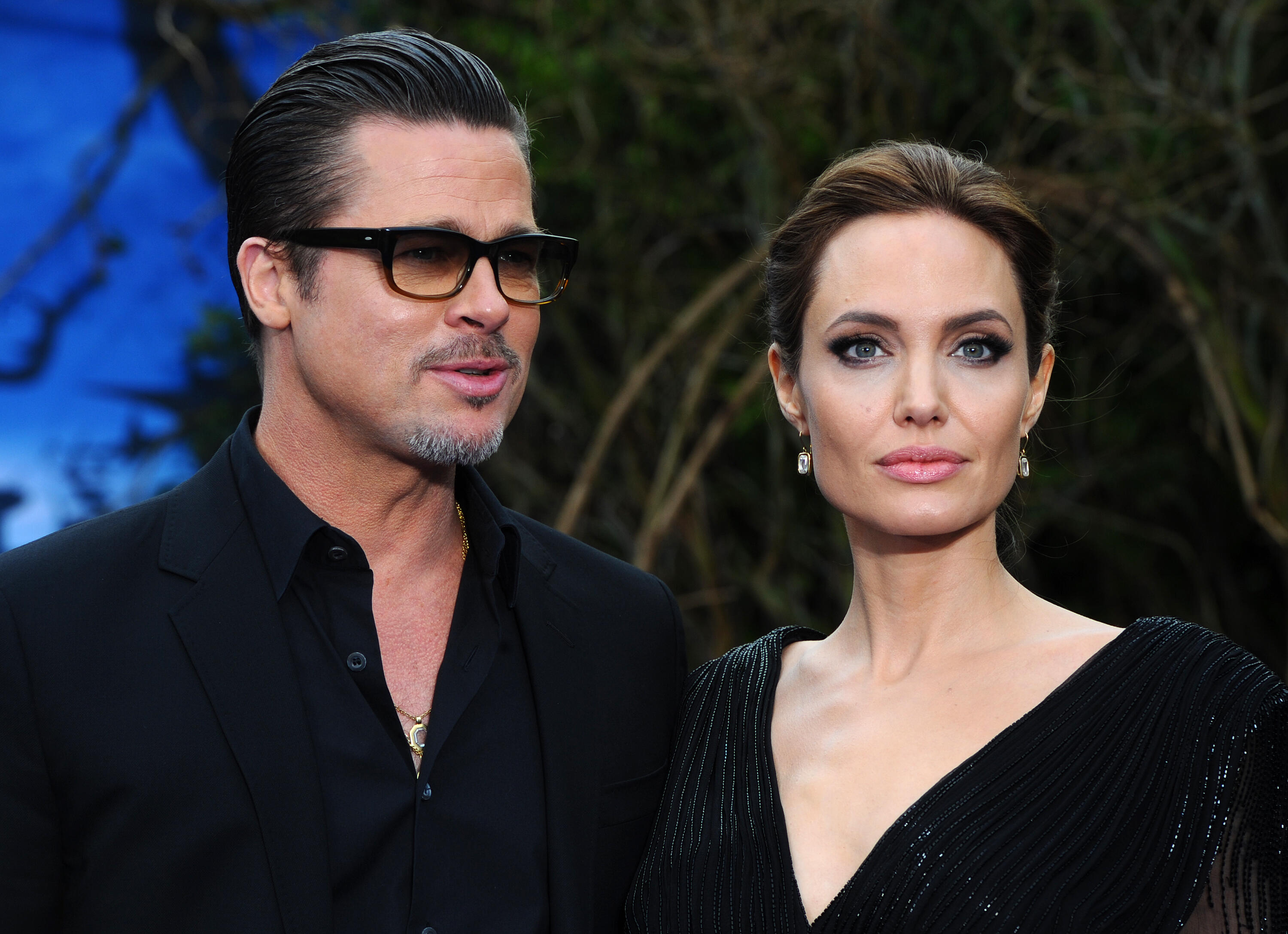 Brad Pitt & Angelina Jolie Can't Decide How To Split Their French ...