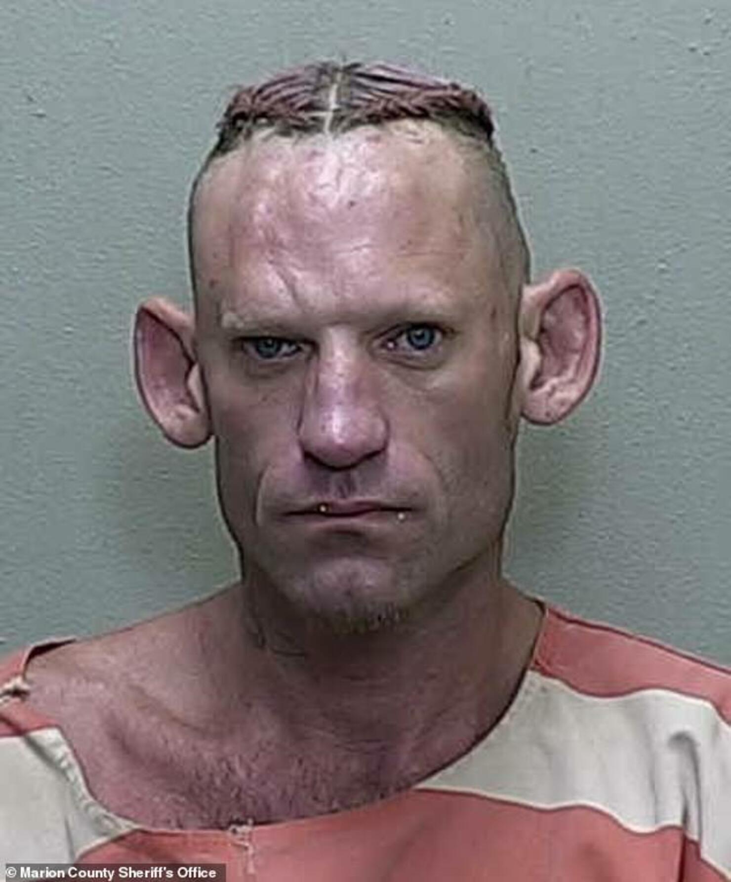 Mugshot Madness The Most Hilarious And Embarrassing Arrests In Mower County