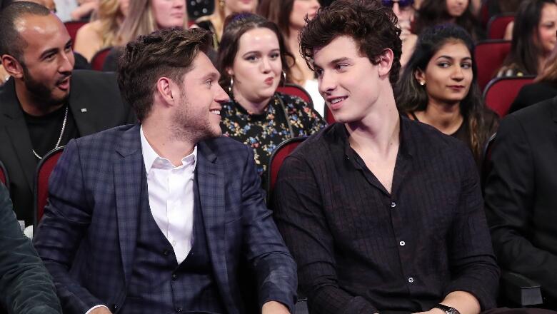 Shawn Mendes Covering 'Nice To Meet Ya' Demands A Niall Horan Collab - Thumbnail Image