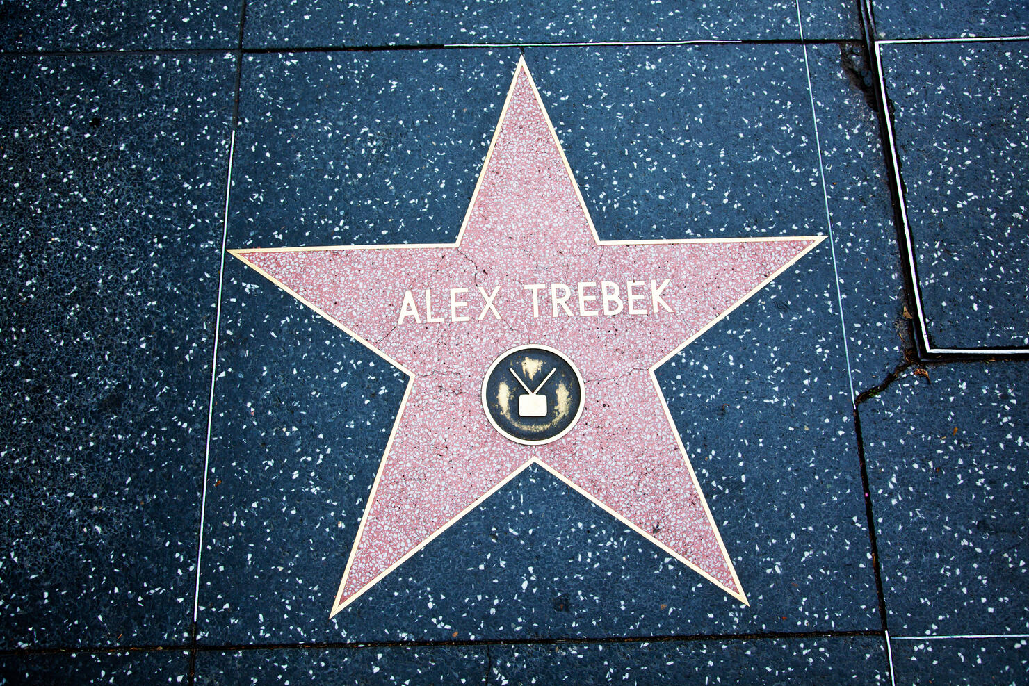 Hollywood Walk Of Fame Star Alex Trebek