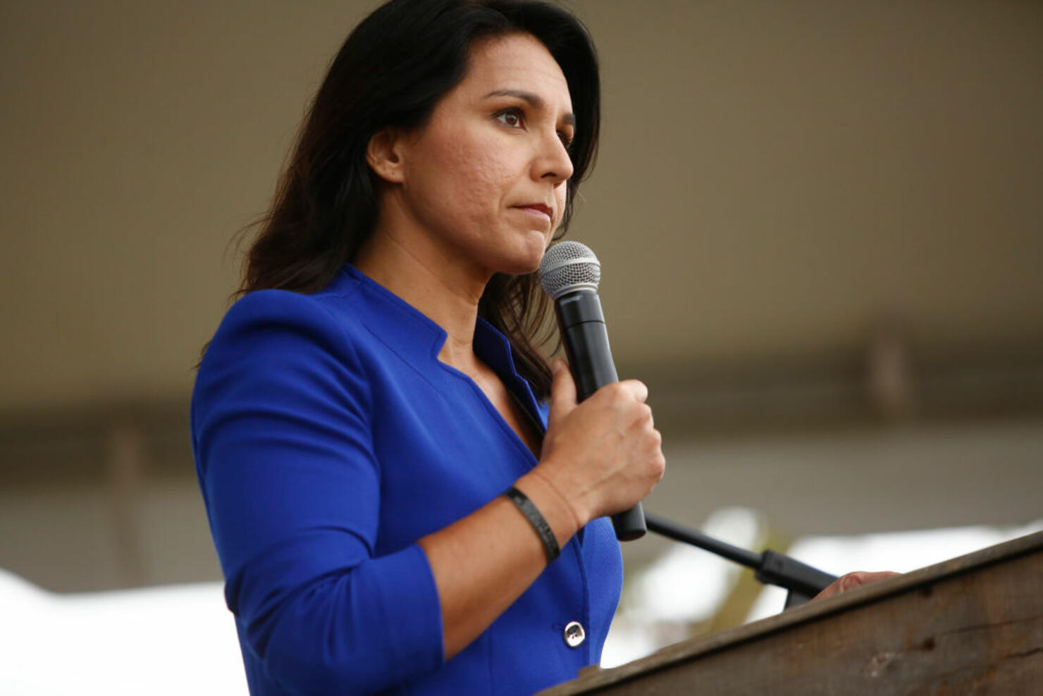 Democratic Presidential Candidates Attend Blue Jamboree In South Carolina