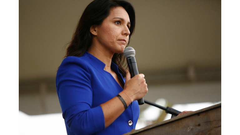 Democratic Presidential Candidates Attend Blue Jamboree In South Carolina