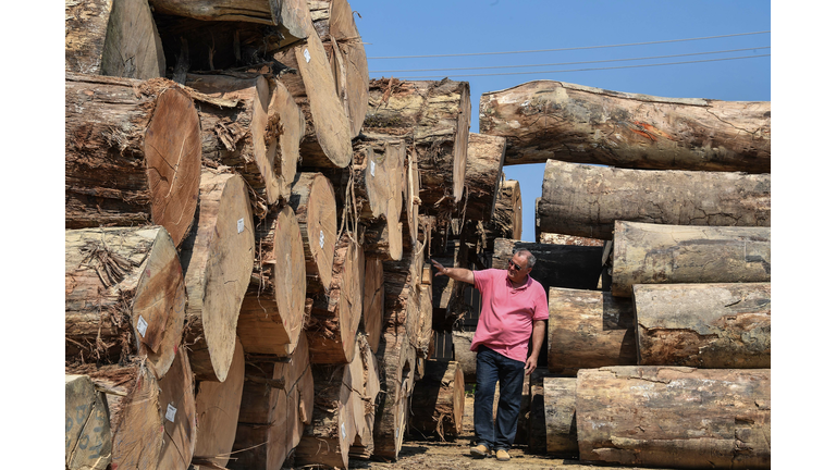 BRAZIL-AMAZON-LOGGER