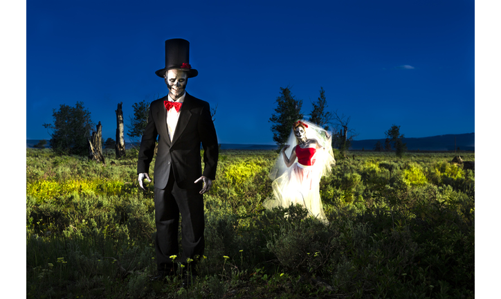 Characters: Skeleton bride beckons her groom.  Spooky Halloween wedding.