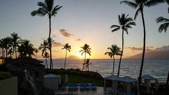 An Adorable Baby Wants To Go To The Four Seasons Orlando In Adorable Video
