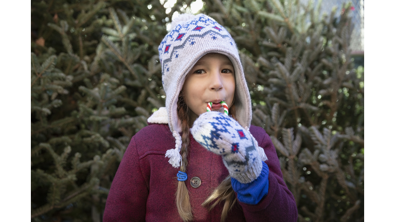 Portrait cute girl eating candy cane in front of Christmas tree at Christmas market