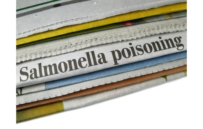 Salmonella Poisoning