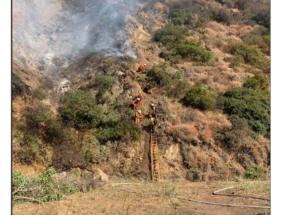 Brush Fire in Pacific Palisades Chars 40 Acres, 10% Contained
