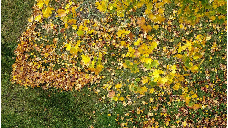 GERMANY-WEATHER-AUTUMN-FEATURE