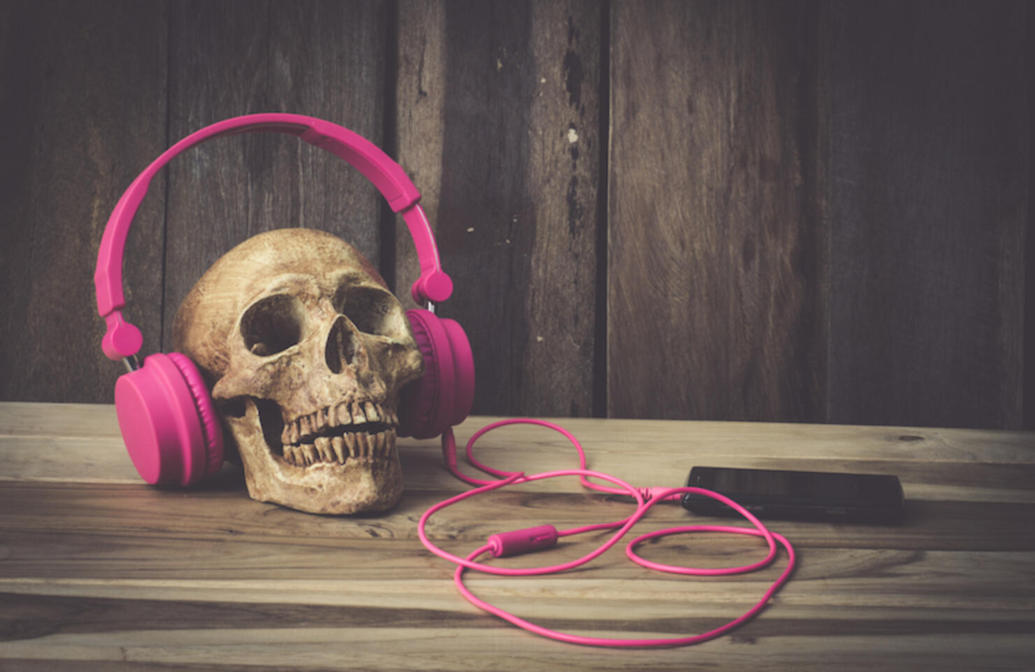 Close-Up Of Human Skull With Pink Headphones On Table