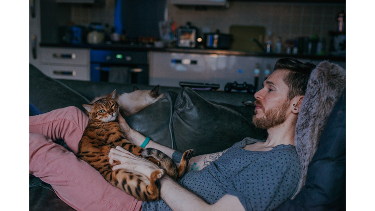 Clingy Cat Obsessed with Snuggles Gets FAKE Lap Created for Her