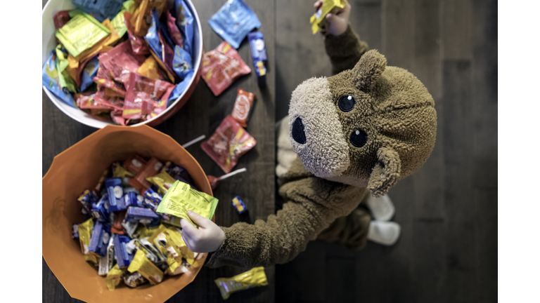Cute Baby Boy inside Bear Costume Eating or Grabbing Candies