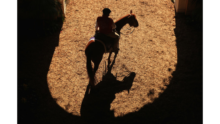 2017 Breeders' Cup World Championships at Del Mar - Day 2