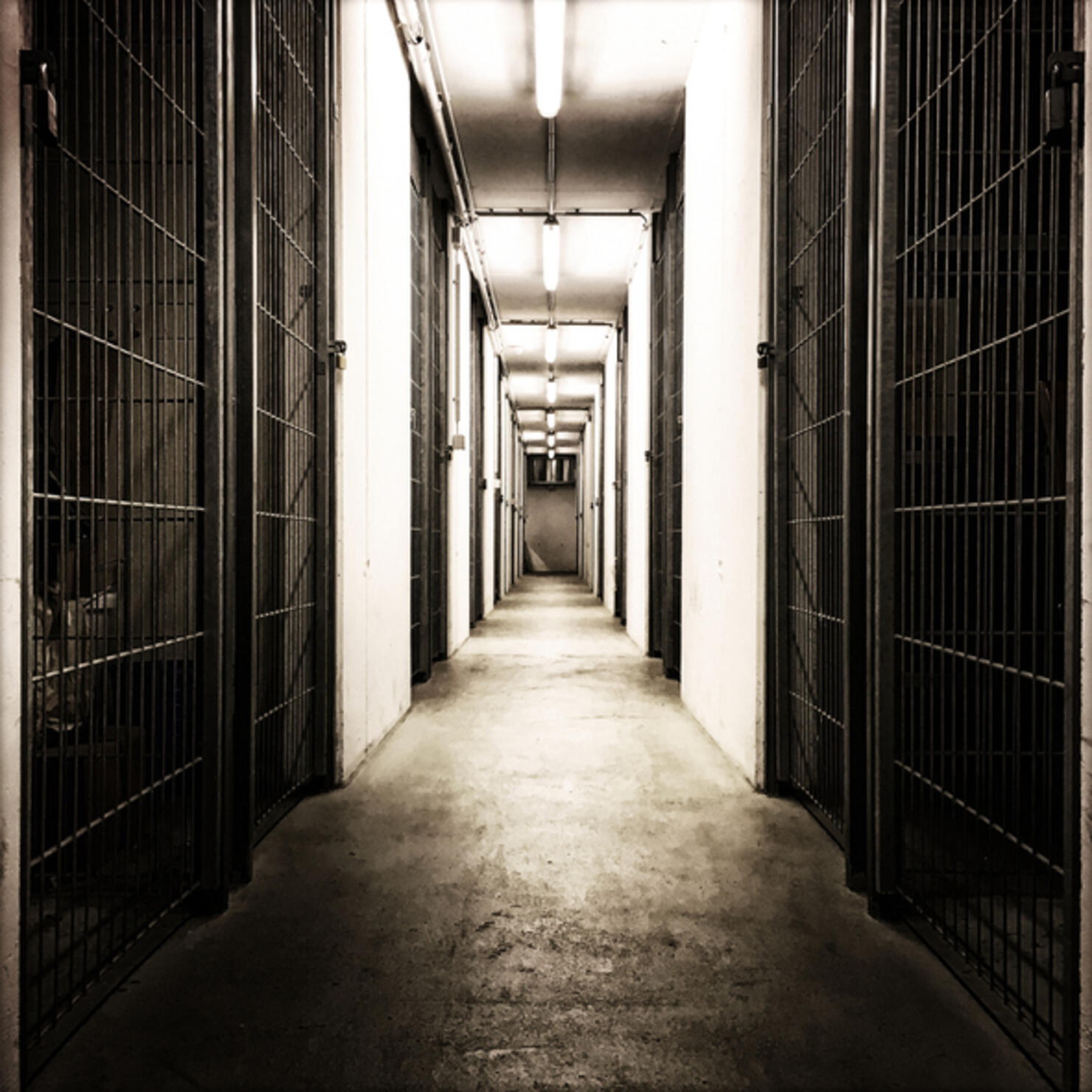 Hallway in a cellar looking like a prison