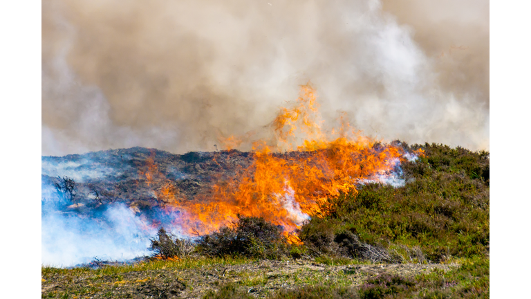 View Of Land Set On Fire