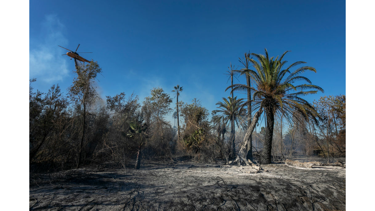 "Extreme" Santa Ana Winds Spark New Wildfires In Southern California