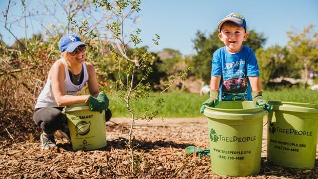 LA Has A Tree Crisis - KFI AM 640