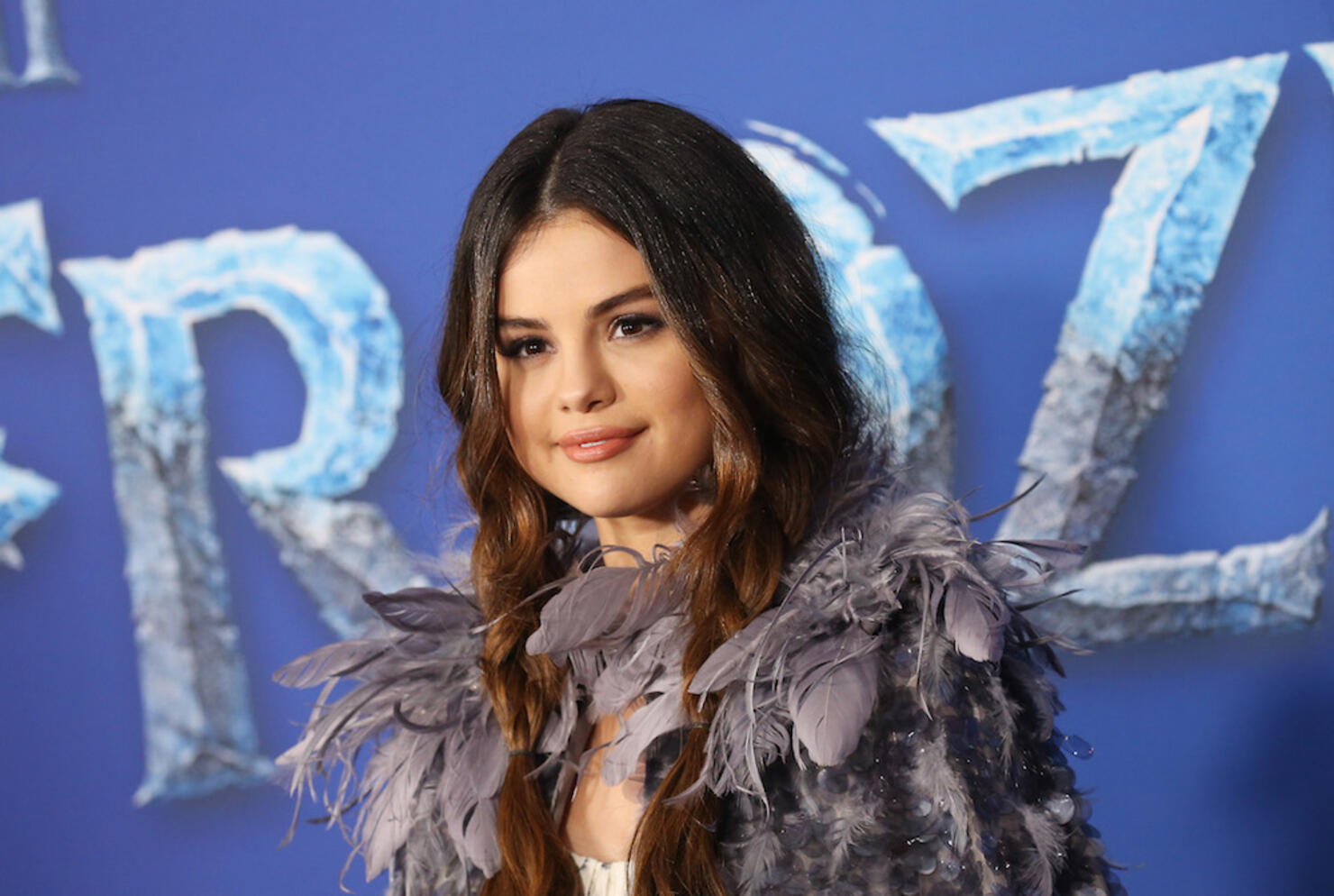 Premiere Of Disney's "Frozen 2" - Arrivals