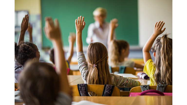 Back view of elementary students raising their arms on a class.