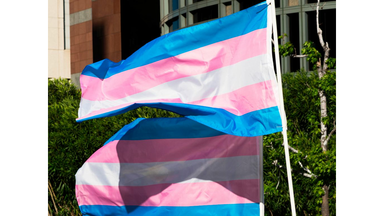 US-TRANSGENDER-DAY-OF-VISIBILITY-GENDER