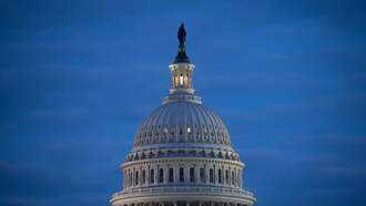 USMCA agreement hailed by farm groups