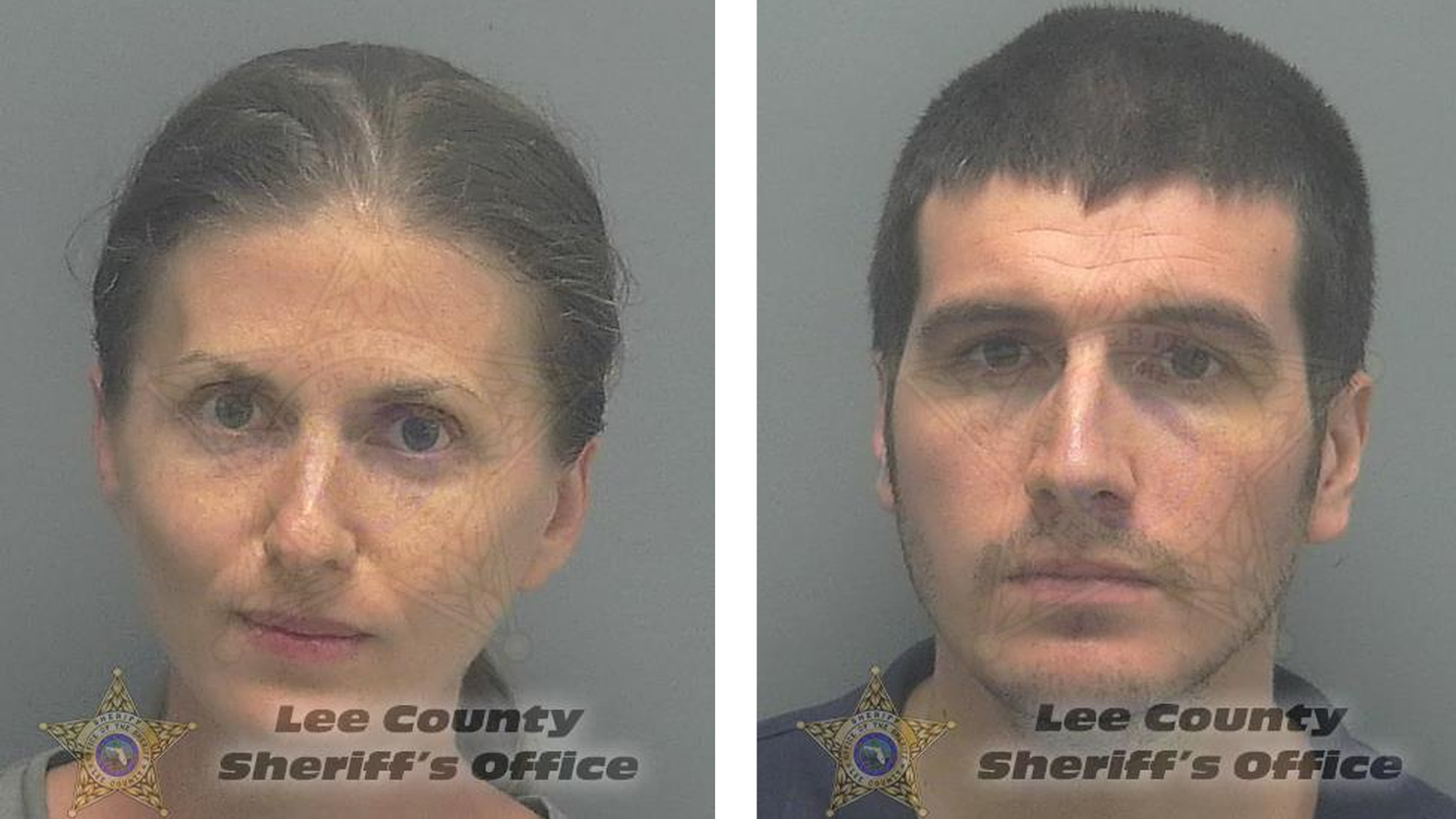 vegan parents arrested after toddler dies